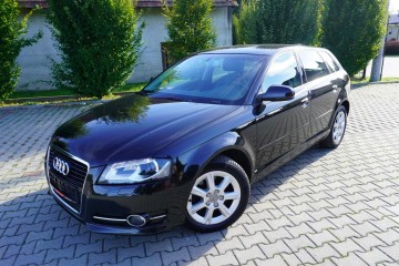 Bezwypadkowy Serwisowany 1-Właściciel Xenon Klimatronik Pdc Piękna !